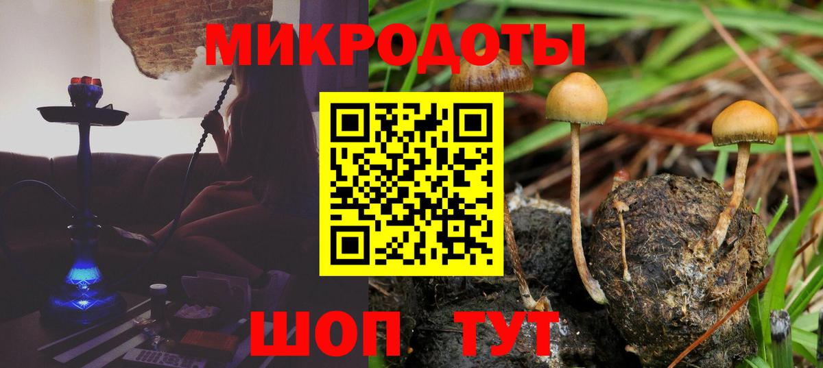 Псилоцибиновые грибы Cubensis Лянтор
